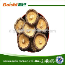 Cogumelo de Shiitake secado liso inteiro mágico mágico maioria